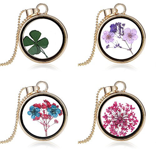 Feilok 4 collares con colgante redondo de cristal transparente de flores secas coloridas para mujer, Cristal, Cristal