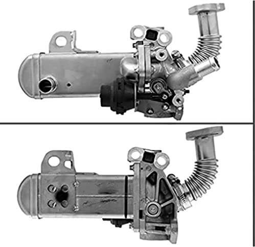 Valeo EGR Valve 700452