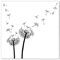 banjado® Magnettafel 50 x 50 cm/Magnetwand aus Metall/Magnetpinnwand als Memoboard/Pinnwand Magnettafel Küche, Büro, Kinderzimmer inkl. 4 Magnete & Montageset - Motiv Pusteblume 2