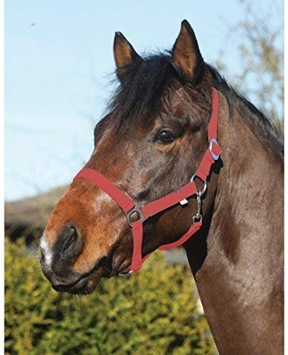 Eldorado Halfter Standard - rot - Kaltblut