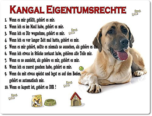 Merchandise for Fans Blechschild/Warnschild/Türschild - Aluminium - 15x20cm Eigentumsrechte Motiv: Kangal/Anatolischer Hirtenhund (01)