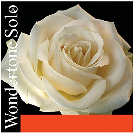 VIOLIN WONDERTONE SOLO 26.7 E SLG ADVANCED STEEL 26.7