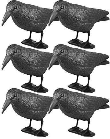 Taubenschreck Rabe Lummy - Schwarze Vogelattrappe aus Kunststoff zur Abwehr von Tauben, Möwen, Kleinvögeln für Garten, Balkon, Terrasse - 6 Stück