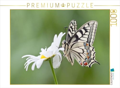 CALVENDO Puzzle Schwalbenschwanz an Margerite | 1000 Teile Lege-Größe 64 x 48 cm Foto-Puzzle für glückliche Stunden