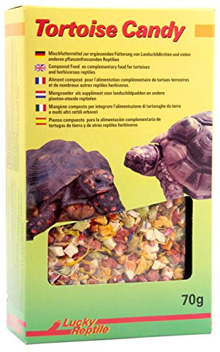 Lucky Reptile Tortoise Candy 70g - Une friandise spéciale - Aliment composé pour Tortues terrestres et Autres Reptiles herbivores - friandise utile pour Les Tortues