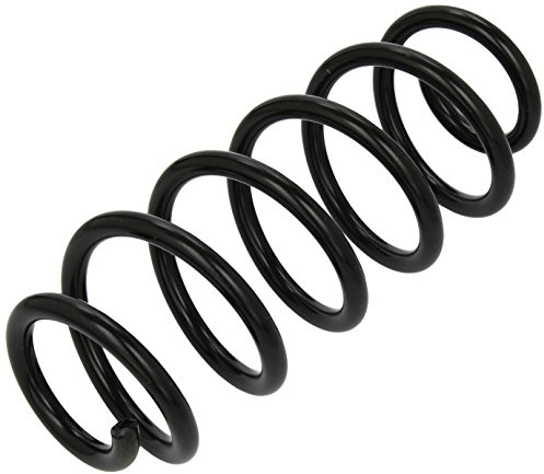 lesjofers 4095056 Coil Spring Front