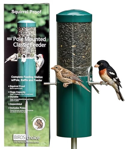 Birds Choice Classic Squirrel Proof Bird Feeder with Pole Mount | Tube Bird Feeder for Cardinals, Chickadees, Woodpeckers | Sturdy Steel for Long-Lasting Use | Backyard Bird Seed Dispenser | Green