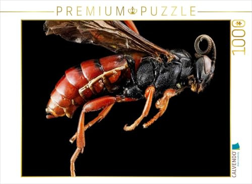 CALVENDO Puzzle Wespe 1000 Teile Puzzle quer | Lege-Größe cm Foto-Puzzle für glückliche Stunden