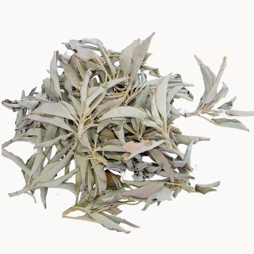 Purificateur et de Fumigation - Sauge Blanche - Salvia Apiana - Encens White Sage 100gr (2x50gr)