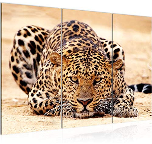 Runa Art Wandbilder Afrika Leopard Bild XXL Wohnzimmer Schlafzimmer Beige Sepia Savanne 120 x 80 cm 3 Teilig 000331b