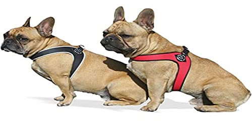 Tre Ponti Geschirr für Hunde / Farbe Rot / Gr.2 bis ca. 5kg Brustumfang 33-37cm