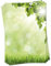 LYSCO Motiv Briefpapier (Sommer-5092, DIN A4, 25 Blatt) Briefpapier grüne Wiese mit kräftig frischem Laub einer Birke im Vordergrund