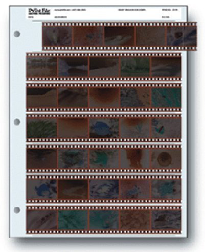 Archiv-Aufbewahrungsblätter 35-7B25 für 35-mm-Film-Negative, 7 Streifen, 25 Stück