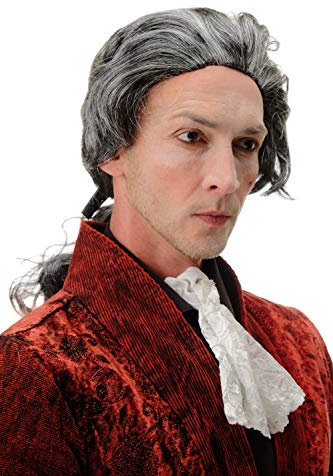 WIG ME UP - 4287-P103-68 Fasching Karneval Halloween Perücke grau mit Zopf: Barock Edelmann Poet GRAF Fürst Vampir Dracula