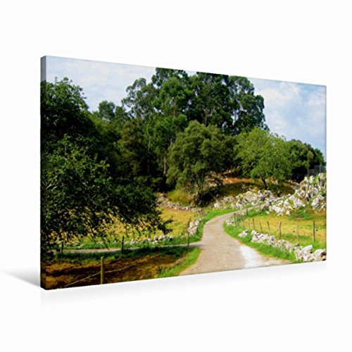 Premium Textil-Leinwand 90 x 60 cm Quer-Format Alles ist grün | Wandbild, HD-Bild auf Keilrahmen, Fertigbild auf hochwertigem Vlies, Leinwanddruck von Alexandra Luef