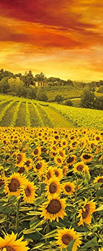 A.Monamour Türtapete Selbstklebend Türfolie Türposter 3D Toskana Sonnenblumenfeld Auf Einem Hügel Bei Sonnenuntergang Vinyl Folie Türdeko Tapete Wandbild Türaufkleber Türtattoo 90 x 200 cm