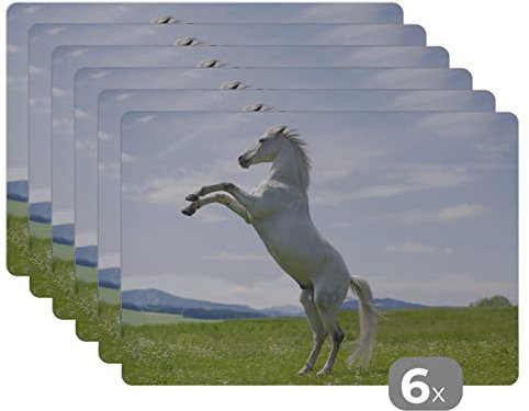 Placemats Platzdeckchen Platzset Tischset 6-teilig Tischdeko Untersetzer 45x30 cm Pferd - Aufzucht - Natur