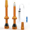 Shredr. Tubeless Ventile Set, orange | Komplettes Set inkl. Tubeless Spritze | Superleicht Alu, Gold eloxiert, französisches Ventil Presta, 60mm für Rennrad-Felgen