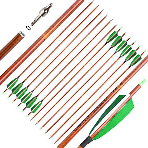 SHARROW Carbonpfeile 32 Zoll Carbonpfeile für Bogenschießen Spine 500 Carbon Pfeile Carbon Jagdpfeile mit 4 Zoll Natürliche Federn Pfeile für Pfeil Bogen Recurvebogen Compoundbogen (Grün, 12P)