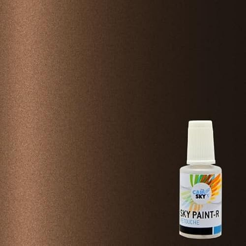 CARSKY Stylo retouche peinture carrosserie compatible avec Renault BRONZE MET 123(flacon pinceau 20ml) + vernis brillant (flacon pinceau 20ml)