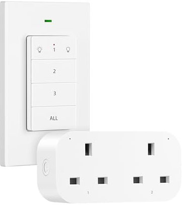 DEWENWILS Remote Plug Socket UK, 13A/3120W Heavy Duty Wireless Light Switch, 30m/100ft Long Range Remote Switch for Household Appliances, Programmable, UKCA Listed
