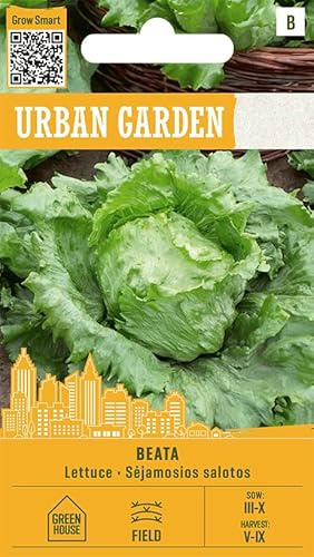 Organic Way | Lechuga - BEATA Semillas de huerto | Lechuga Iceberg medio-precoz | Cogollos grandes hasta 500 g | Para campo abierto y túneles | Crujiente fresca productiva | 1 sobre