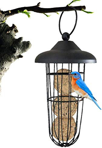 Meisenknödelhalter, Vogelfutterspender, Vogelfutterstation Meisenknödel ohne Netz zum Aufhängen, Knödelhalter Wildvogelfutter, stark und robust