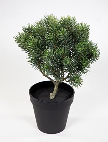 Seidenblumen Roß Tannenbusch grün-grau 28cm im Topf CG Kunstpflanzen künstliche Tanne Kunststoff Spritzguss 100% PE