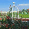 Graticolato per Piante Rampicanti Grigliato a Colonna Obelisco Metallo Sostegno Piante Rotondi con Anello in Plastica 180x50cm 230x50cm 280x50cm 330x50cm Torre da Giardino ( Color : White , Size : H23