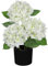 Hollyone Künstliche Hortensie im Topf, Weiße Hortensien Kunstblumen Deko Blume mit Topf Seidenblume für Haus Bad Büro Tisch Dekoration