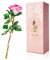 Rose Cadeau Pour Elle - Cristal K9 Avec Carte de Vœux - Fleur Éternelle en Verre 3D Pour Femme - Anniversaire, Fête des Mères, Mariage, Saint-Valentin, Noël