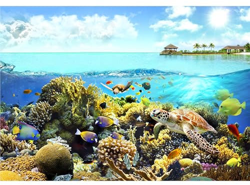 decomonkey - Papier Peint Panoramique Aquarium 350x256 cm - Décoration murale moderne – Tapisserie décorative pour chambre salon - Coloré été nature océan paysage plantes poisson eau
