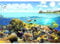 decomonkey - Papier Peint Panoramique Aquarium 350x256 cm - Décoration murale moderne – Tapisserie décorative pour chambre salon - Coloré été nature océan paysage plantes poisson eau