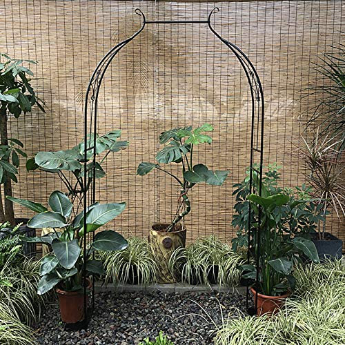 ZH-1 Stahl Gartenbogen Rankenbogen W80xH205cm, W120xH205cm, Elegante Rosenbogen Pergola Wand Kunst Gitter für Kletterpflanzen, halb Bogen
