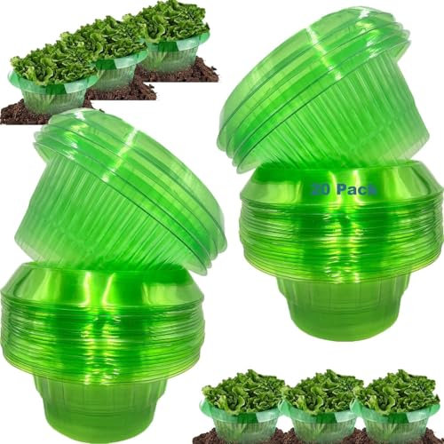 Sunshine smile 20 Stück Schneckenkragen,schneckenkragen aus Plastik,Schneckenschutz,Schneckenschutzringe,Schneckenring Garten Effektiver Schneckenschutz,Schneckenabwehr Schutzring,Chlor