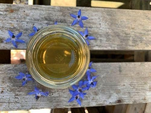 British Borage Honey - Pure and Natural, British Honey/UK Honey (227g Glass jar)