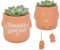 Something Different Wholesale Quirky Blooming Great Mum Plant Pot Pal: Adorable Dangly Legs, Shelf Companion, Cute Mum-Themed Text Message Decor, Whimsical Design