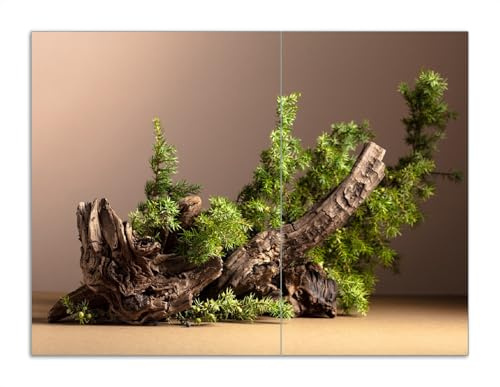 Wallario Herdabdeckplatte/Spritzschutz aus Glas, 2-teilig, 70x52cm, für Ceran- und Induktionsherde, Motiv Komposition aus Holz und Grün