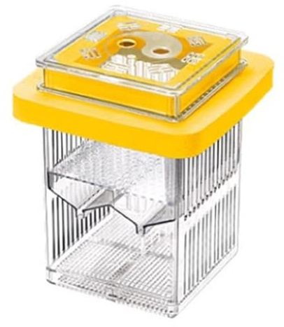 Séparateur de réservoir de poisson Betta Largeurs Boîte flottante Boîte de séparation d'aquarium Poisson Boîte à poisson Hatchery Flottant Poisson Coquetier Poisson Largeur Boîte à œufs Boîte à œufs