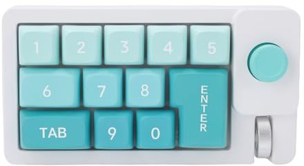 Bewinner Wired Mechanical Number Pad, Type C Hot Swappable Numpad Keyboard with 12 RGB LED Backlight, Joystick Roller, 12 Programmable Keys, Anti-Ghosting for Gaming Office (Purple)