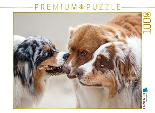 CALVENDO Puzzle Australian Shepherd 2022 1000 Teile Lege-Größe 64 x 48 cm Foto-Puzzle Bild von Annett Mirsberger