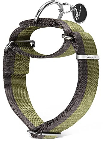 Dazzber Martingal Halsbänder für Mittel/Große Hunde 4cm Breites, Extra Starkes, Verstellbar, Hohe Farbechtheit- Nylon 2 Farbe Gestreift Weit Hundehalsband (Militärgrün & Grau, Mittel, 4cm Breit)
