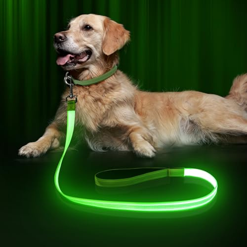 LED Hundeleine, Bpawser Light Up Hundeleine Micro USB wiederaufladbar, Nylon Gurtband leuchtende Sicherheit Standard Hundeleinen für Hunde 120 cm 4 Fuß (Grün mit 3 reflektierenden Drähten)