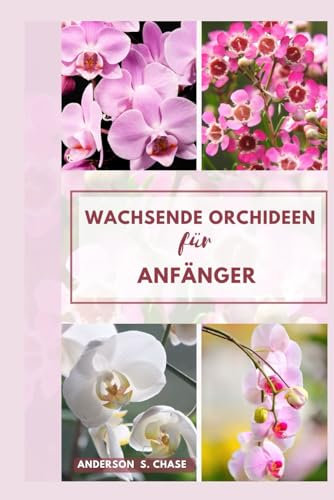 Wachsende Orchideen für Anfänger: Einfache Schritt-für-Schritt-Anleitung für den Anbau und die Pflege von Orchideen zu Hause