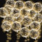 Yootiko 18 Pcs Led Ballons,Leuchtende Led Luftballons,Bobo Helium Leuchtballons mit Lichter,20 Zoll Led Transparent Ballonlichter Party Deko Ballon für Valentinstag, Hochzeit,Geburtstag,Weihnachten