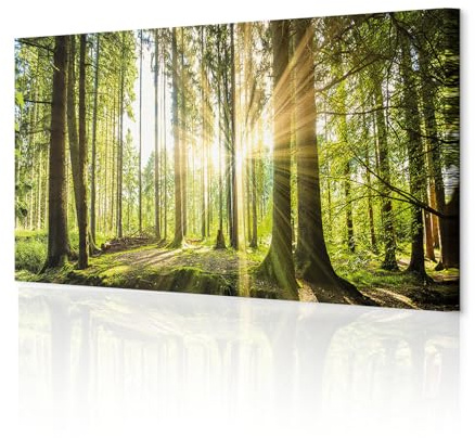 decomonkey Bilder Wald 120x40 cm XXL 1 Teilig Leinwandbilder Wandbild Natur | Strukturleinwand, Holzkeilrahmen, Bild auf Leinwand, Kunstdruck, Wanddeko, Wohnzimmer, Wanddekoration, Landschaft