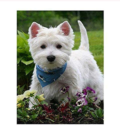 WXLSL 1000 Pieces Wooden Jigsaw Puzzles, Set For Kid Adult Develop Patience Reduce Pressure,Westie Dog