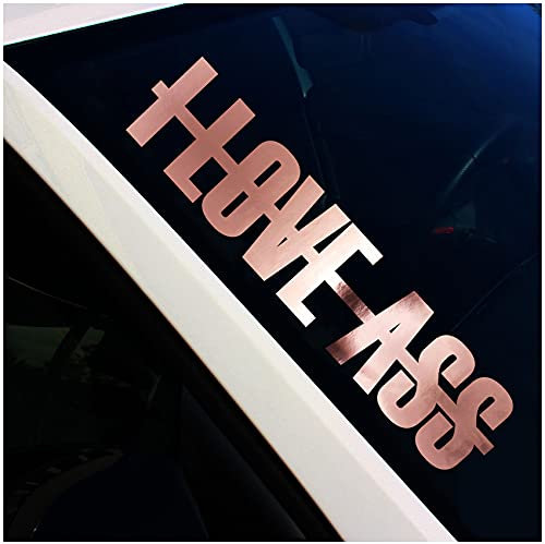 Finest Folia Frontscheibenaufkleber Schriftzug I Love Ass Aufkleber für Windschutzscheibe Heckscheibe Frontscheibe Auto Fahrzeug Dekor Sticker FS136 (Rosegold Chrom, Außenklebend)