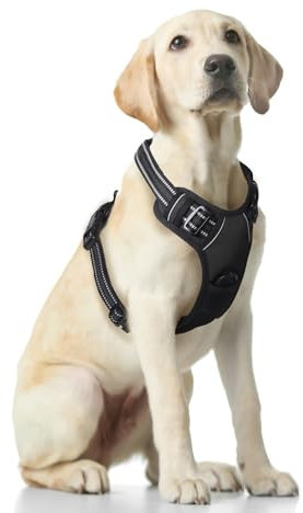Funfox Hundegeschirr für Mittelgroße Anti Zug Brustgeschirr Einstellbar Geschirrset Mittlere Hunde No Pull Geschirr Hund Antiziehgeschirr für Grosse Hunde Atmungsaktiv Dog Harness Schwarz M
