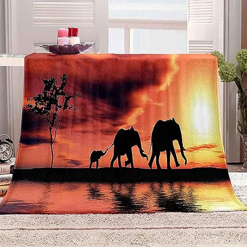 okoikfc Kuscheldecke Flauschig 220x240 cm 3D Afrika Decke Fleecedecke - Wohndecke, Sofadecke XXL, Decke Couch Blanket, Kuscheldecke Große, Sofa überwurfdecke